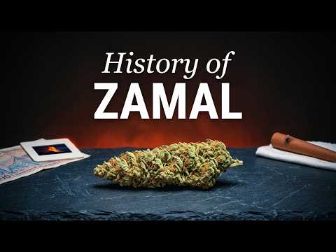 Video thumbnail for the history of the Zamal sativa landrace from Reunion Island