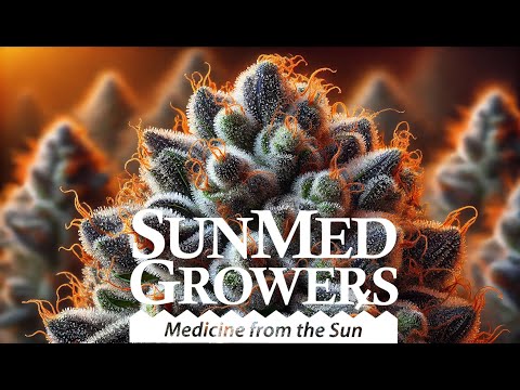 Thumbnail for a video tour of a cannabis greenhouse on the Eastern Seaboard