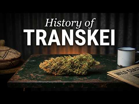 Video thumbnail for the history of the Transkei African sativa landrace