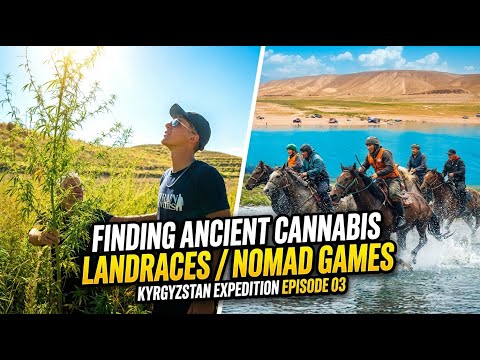 Thumbnail for Strain Hunters Kyrgyzstan Expedition, Episode 3