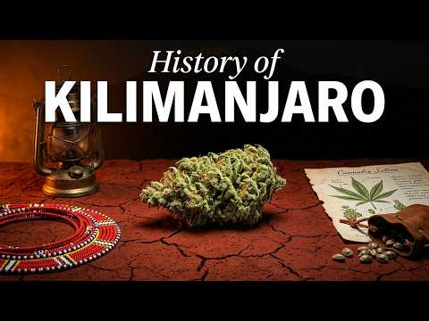 Video thumbnail for the history of the Kilimanjaro African landrace