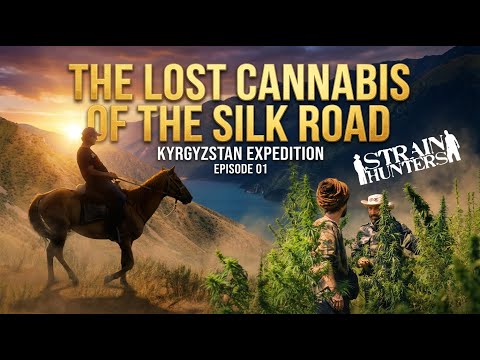 Thumbnail for Strain Hunters Kyrgyzstan Expedition, Episode 1