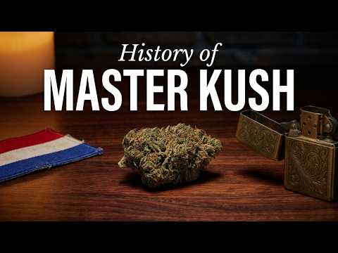 Video thumbnail for the history of the Master Kush strain