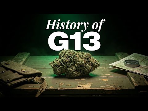 Video thumbnail for the history of the G13 strain