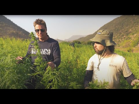 Thumbnail for Strain Hunters South Africa Expedition, Episode 2