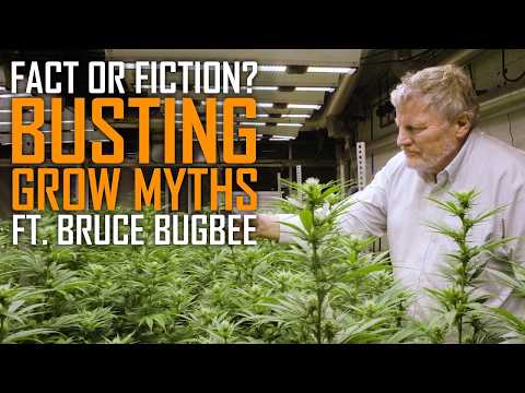 Video thumbnail for busting cannabis grow myths with Prof. Bruce Bugbee