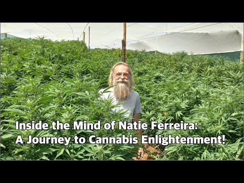 Thumbnail for Growing Cannabis in South Africa - The Natie Ferreira Story, Part 1