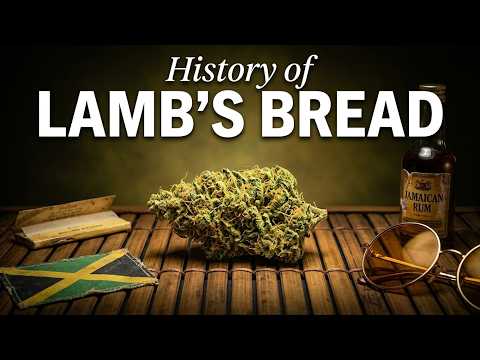 Video thumbnail for the history of the Lamb's Bread Jamaican strain
