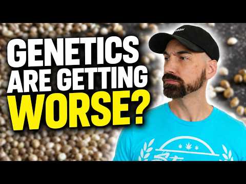 Video thumbnail discussing whether pollen chucking is ruining genetics