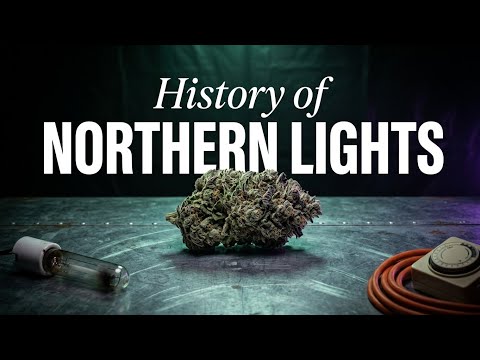Video thumbnail for the history of the Northern Lights indica from the 1980s