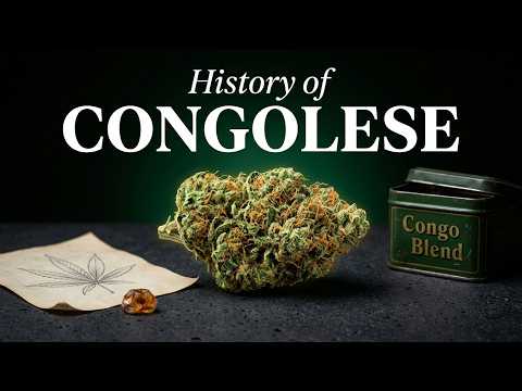 Video thumbnail for the history of the Congolese African sativa landrace