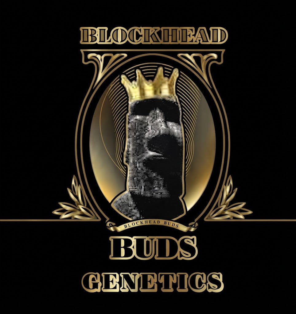 Blockhead Buds