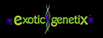 Exotic Genetix