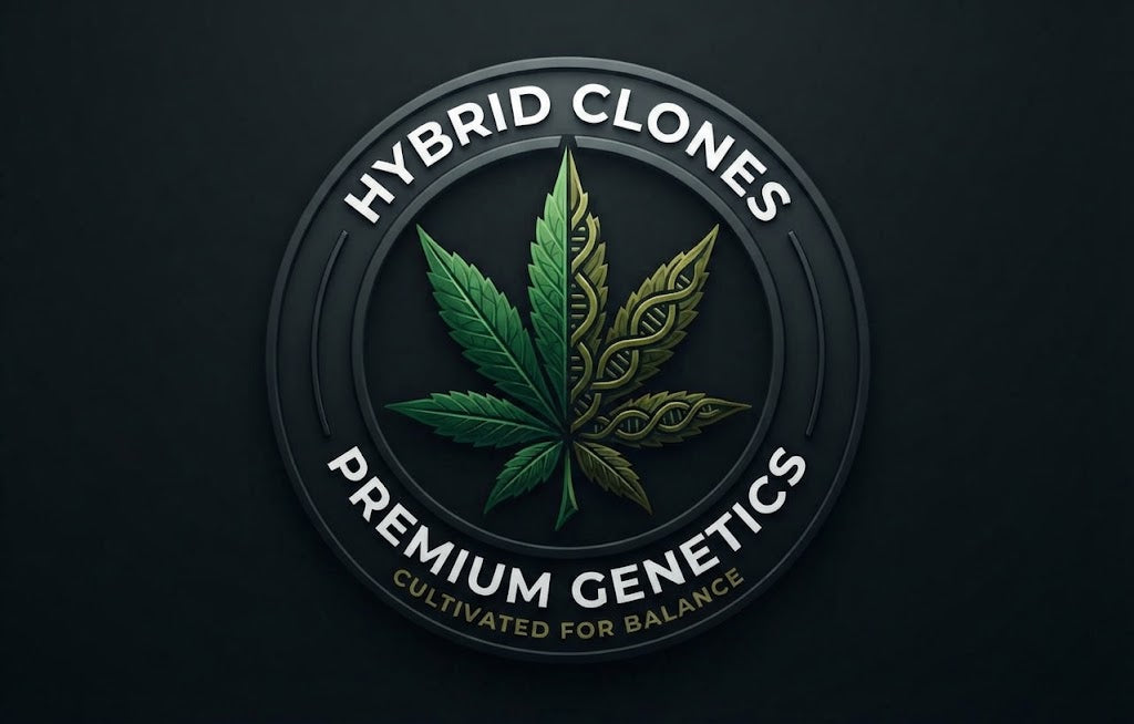 Hybrid Clones