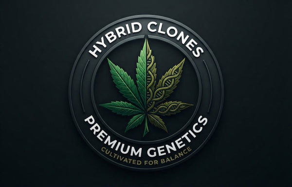 Hybrid Clones